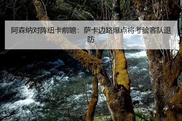 阿森纳对阵纽卡前瞻：萨卡边路爆点将考验客队退防